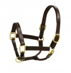 HK Americana Fancy Stitched Self-Padded Leather Halter